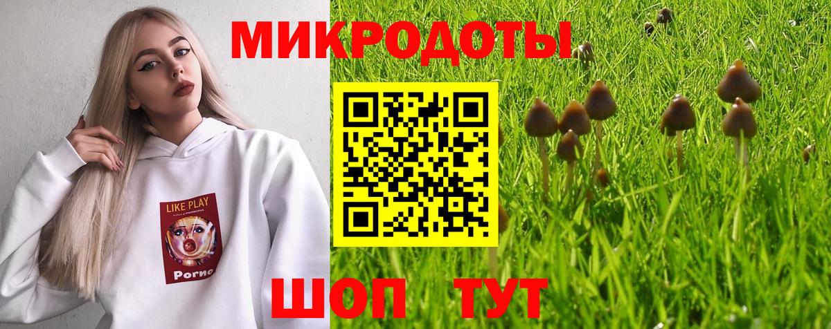 Галлюциногенные грибы мухоморы  Вход с VPN  Мытищи  Галлюциногенные грибы Psilocybine cubensis 